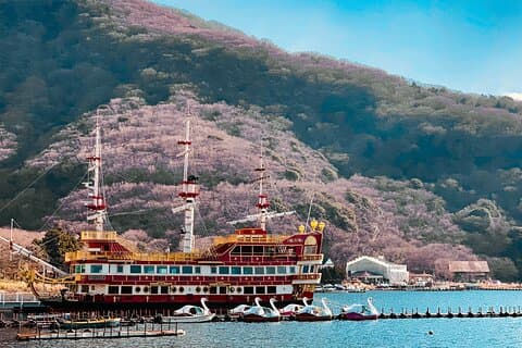Only 1 Group per Day – Hakone Private Tour with Hotel Pickup