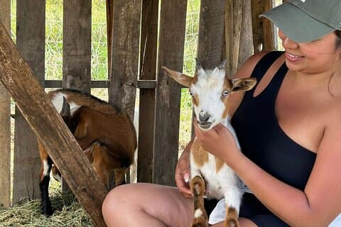 Flaschenfutter & Kuscheln Babyziegen auf Ohana Ranch (Big Island)