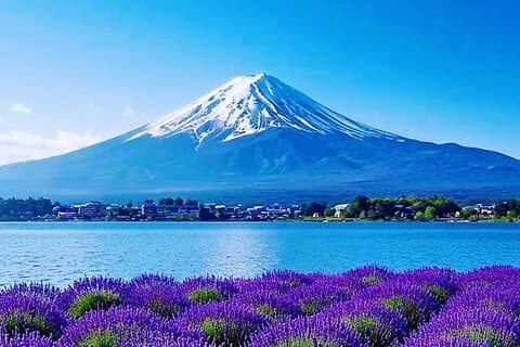 Mt. Fuji Arakurayama Sengen Park, Oshino Hakkai, Kawaguchi Lake Tour