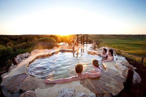 Explore Mornington Wildlife Wine and Hot Springs