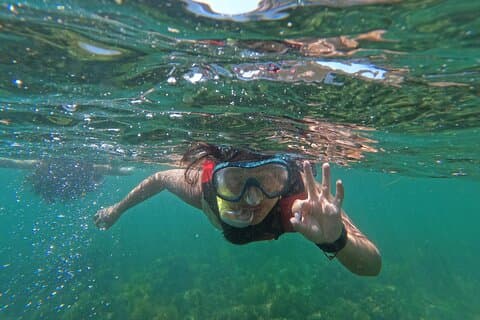 Lisbon: Snorkeling in the Prof Luiz Saldanha Marine Reserve