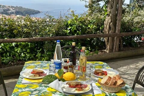 Tasting Limoncello, Oil and Typical Products in Farmhouse