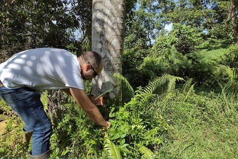 Caccia al tesoro Avventura Escursioni e Scopri il tuo tesoro