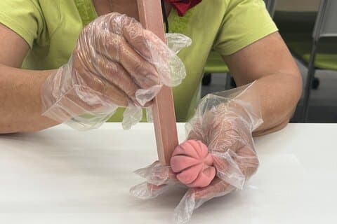Wagashi Workshop and Tea Ceremony in Kanazawa