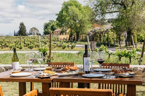 Vanuit Barcelona : Torres Winery Tour met wijnproeverij en tapas