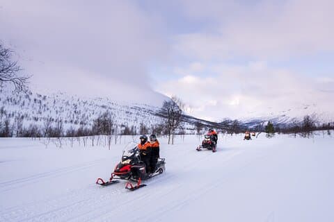 Arctic Combo : slitta trainata da cani, motoslitta e visita alle renne