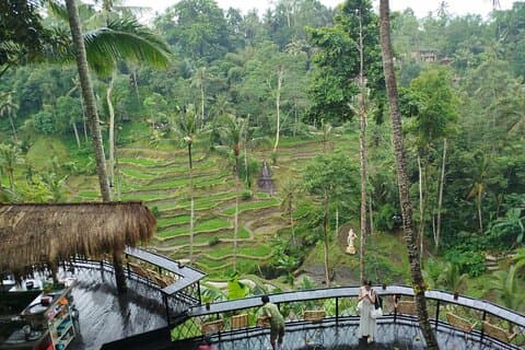 All-Inclusive Ubud Discovery Day Tour
