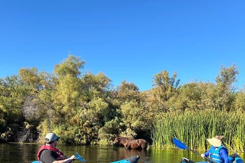Kajaktochten met gids door Lower Salt River