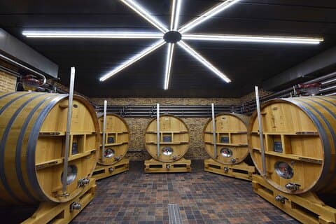 Rundvisning i vinkælderen og champagnesmagning på Domaine Coutant