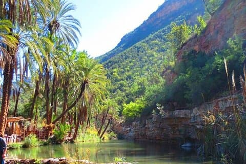 Private Guided Tour to the Paradise Valley and Taghazout village