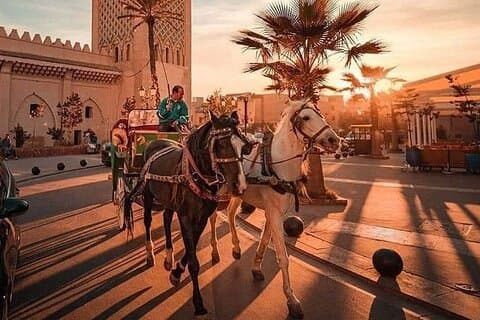 Excursión a la ciudad roja de Marrakech desde Agadir 1 día