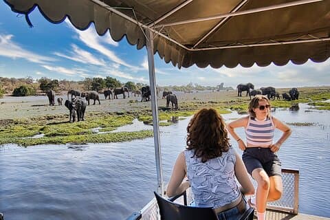 Chobe’s Half-Day River Adventure : Où les géants viennent se baigner