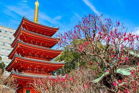 Ervaar Japan Spirit in Hakata Temple Town