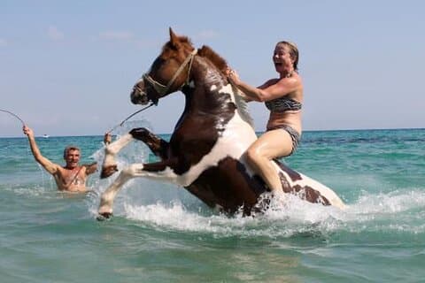 Zakytnhos Horse Riding Swimming Experience