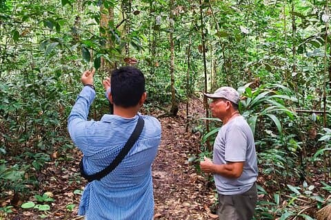 Wanderung im White Sand Jungle Nationalpark in Iquitos