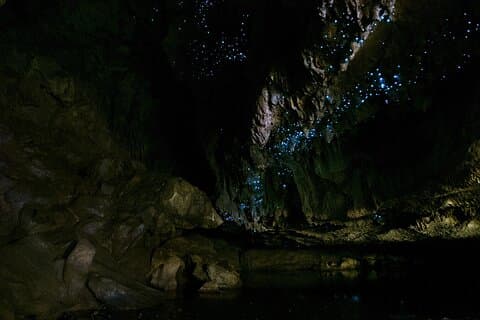 Tour guidato delle grotte di Kawiti Family Glowworm nella Baia delle Isole
