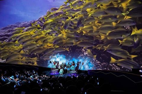 Mele: Den hawaiianske musikoplevelse