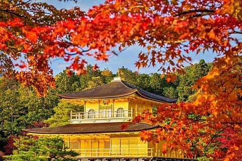 Most Popular Kyoto and Nara Day Trip to Torii Gates and Temples