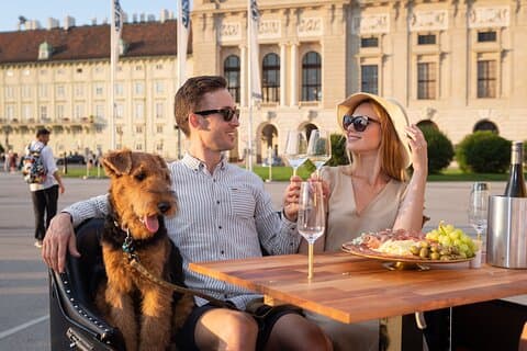 Vienna Wine Tasting Experience in a Classic Oldtimer