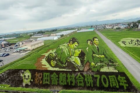Rice Paddy Art Half day tour in Aomori