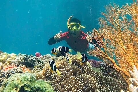 Nha Trang Mun Island Snorkeling, Fishing, Mini Beach Hopping Tour
