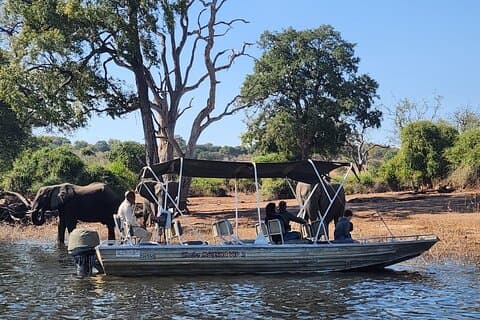 Chobe Explorer: Safari terrestre e fluviale di un’intera giornata