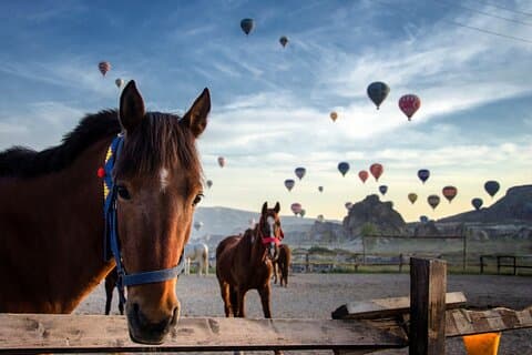 Passeggiata a cavallo al tramonto in Cappadocia attraverso le valli