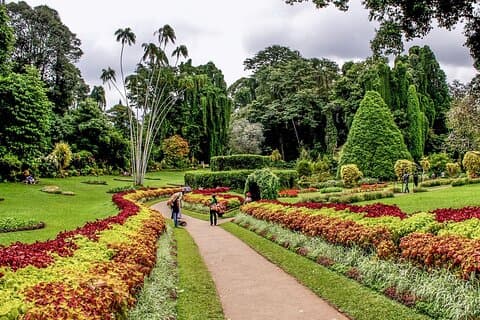 Kandy City Tour & Scenic Visit to Ambuluwawa Tower