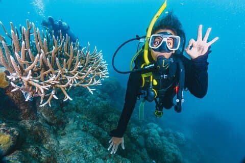 Intro Diving for Beginners 2 Stops Diving with Lunch - Hurghada
