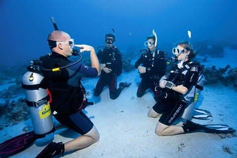 Professionelle Taucherfahrung 2 Tauchgänge und Mittagessen : Hurghada
