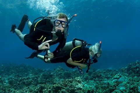 PADI Advanced Diving Course & Transfert avec déjeuner : Marsa Alam