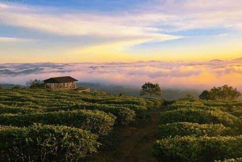 Caccia alle nuvole e il bagliore dell'alba a Da Lat