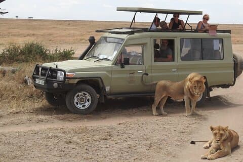 Masai Mara Transfer von Nairobi