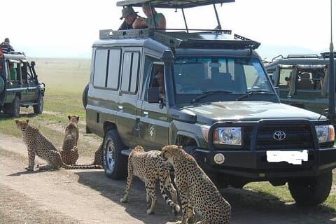 Masai Mara Transfer von Nairobi auf 4x4 Toyota Land Cruiser