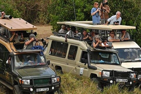 5 - Dagen Masai Mara en Lake Nakuru Lodge Safari