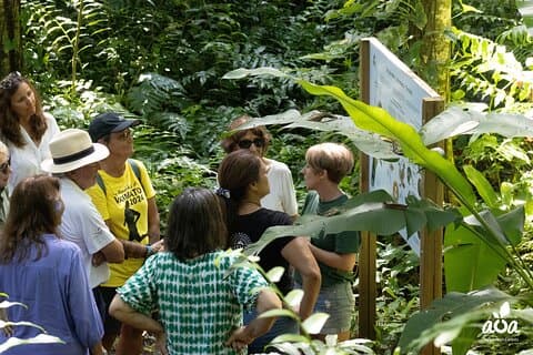 Tahiti: Educational Forest Ride & Nature Trail Game
