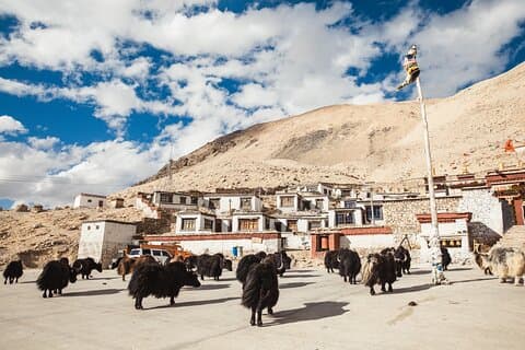 Excursão de 7 Dias em Lhasa Shigatse