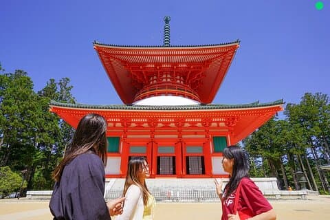 Koyasan Tagesausflug mit dem Privatauto von Osaka
