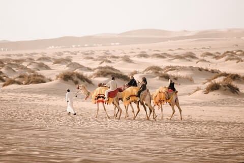 Half Day Desert Safari