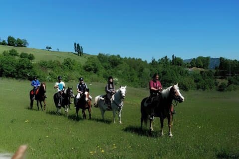 Paseo a caballo con almuerzo en una granja en Vergato