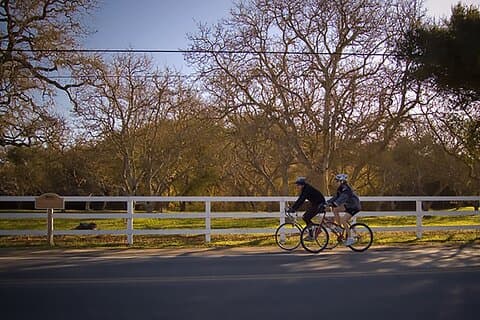 Selvguidet tur til Solvang og Santa Ynez vinland