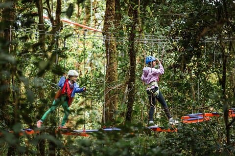 4 - in - 1 Sky Tram, Sky Trek, Sky Walk et Arboreal Challenge