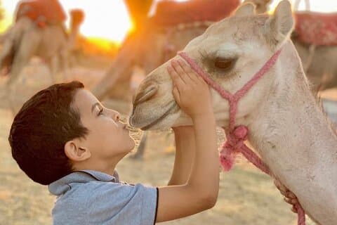 From Marrakech Moroccan Breakfast and camel ride in Agafay Desert
