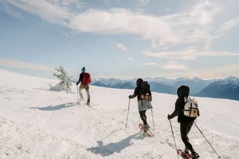 Queenstown to Cardrona Snow Farm Tour
