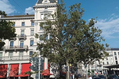 Tour a piedi di Zurigo
