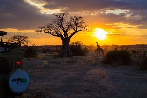 6 Dage Privat Safari Tarangire, Serengeti og Ngorongoro krater