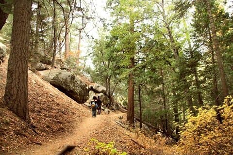 Idyllwild dagtour