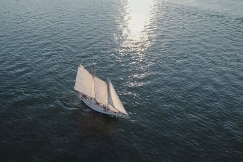 カスコ湾のハート・デザイア2時間プライベートモーニングチャーター