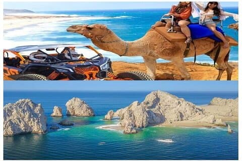 Promenade à dos de chameau, UTV et visite de l'Arche avec déjeuner et dégustation de tequila !