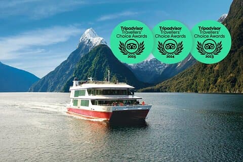 Milford Sound Small Group Tour, Cruise & Picnic Lunch